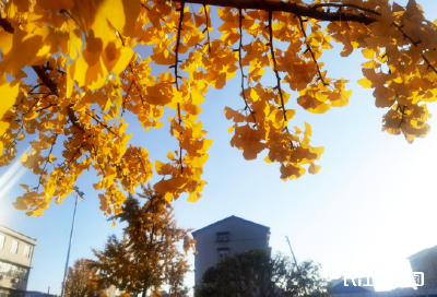 襄阳南漳：流光溢彩惹人醉