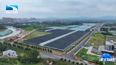 孙伟在孝感调研时强调 聚力打造武汉都市圈副中心城市 为推动支点建设取得决定性进展贡献力量