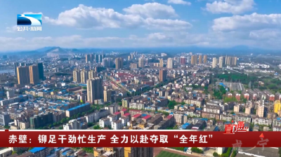 赤壁：铆足干劲忙生产 全力以赴夺取“全年红”