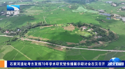 石家河遗址考古发掘70年学术研究暨传播展示研讨会在汉召开
