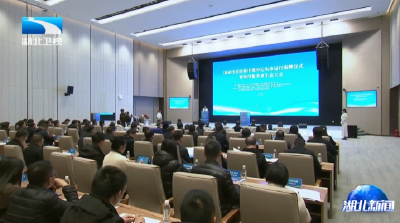 张文兵出席国家技术转移中部中心实体运行揭牌活动暨科技服务业生态大会 