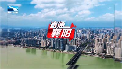 直通襄阳 | 多点发力绘振兴画卷 宜城铺就富民强村新路径