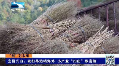 “荆”彩市州 | 宜昌兴山：铁扫帚远销海外 小产业“扫出”致富路