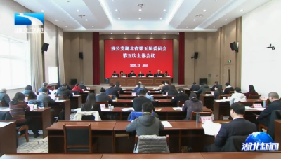 致公党湖北省委会五届五次全会在汉召开