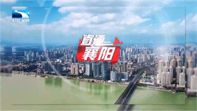 直通襄阳 | 答卷2025·荆山潮涌看保康