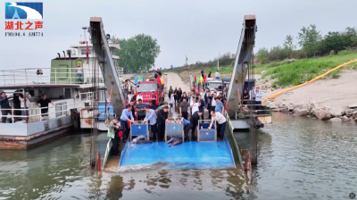 长江寻鱼记｜“产房”复苏记