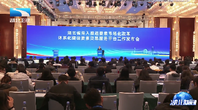 张文兵强调 深入推进要素市场化改革 体系化建设要素交易服务平台