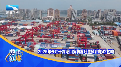 2025年长江干线港口货物吞吐量预计超42亿吨
