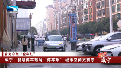 咸宁：智慧停车破解“停车难” 城市空间更有序
