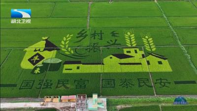 2025年12月10日湖北新闻