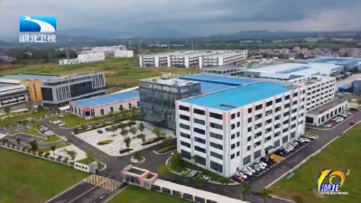 2025年12月8日湖北十分