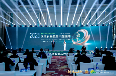 “江城百臻”荣获2025中国区域农业形象品牌影响力指数第47位