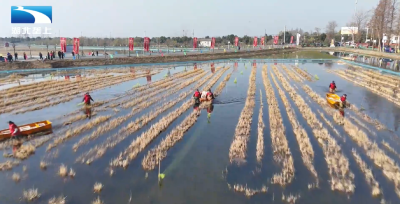 农业高质量发展：量质双升 “潜江龙虾”冬捕活动启动