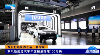 湖北打造世界车谷·看东风 | 东风新能源汽车年度销量突破100万辆