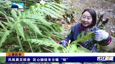 凤尾蕨豆豉香 匠心酿就冬日暖“味”