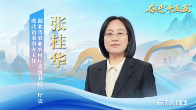 湖北省农业农村厅厅长张桂华：推动农业基础更加稳固 农村地区更加繁荣 农民生活更加红火