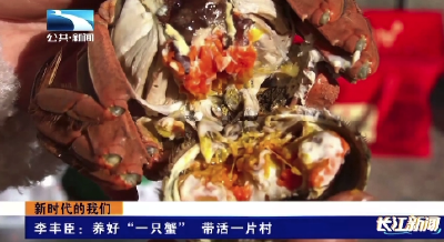 李丰臣：养好“一只蟹” 带活一片村