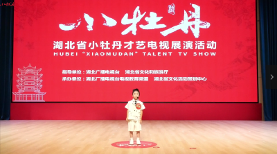 小牡丹—《小英雄王二小》