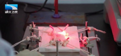 2025年12月23日湖北十分