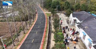 孝感大悟：路通产业兴 民富乡村美