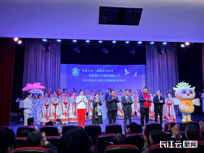 武汉市武昌区举办国际残疾人日主题活动