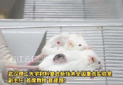 可用于肿瘤精准治疗 “湖北造”可注射抗病纳米机器人取得突破性进展