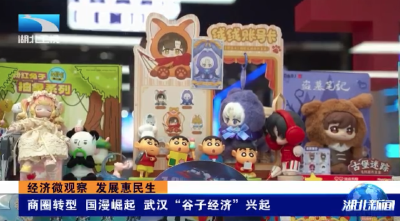 经济微观察 发展惠民生 | 商圈转型 国漫崛起 武汉“谷子经济”兴起