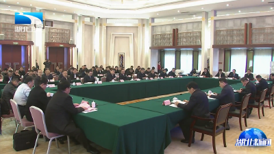 程用文强调 加快推进武汉多式联运服务中心建设