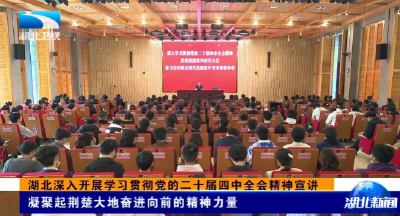 湖北深入开展学习贯彻党的二十届四中全会精神宣讲 | 凝聚起荆楚大地奋进向前的精神力量