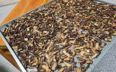 咸宁崇阳：深山藏佳味   “蒸”出好日子