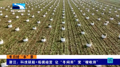 潜江：科技赋能+规模经营 让“冬闲田”变“增收田”
