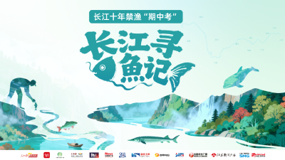 长江寻鱼记｜金沙江上鱼路通