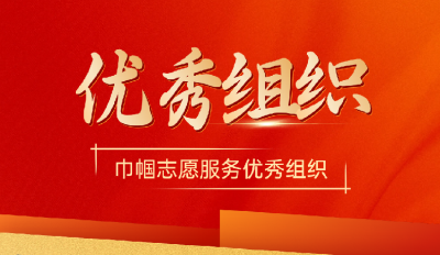 十大巾帼志愿服务优秀组织  以志愿之姿绘就她力量画卷
