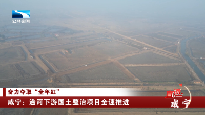 咸宁：淦河下游国土整治项目全速推进