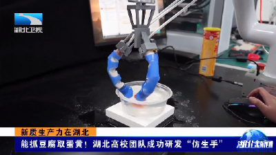新质生产力在湖北丨能抓豆腐取蛋黄！湖北高校团队成功研发“仿生手”