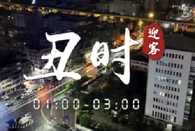 《自贸港十二时辰》 | 丑时·迎客