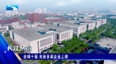 全球十强 光谷多家企业上榜