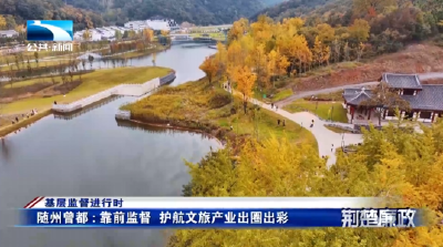 基层监督进行时∣随州曾都：靠前监督 护航文旅产业出圈出彩