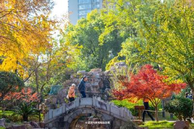 最新发现！2公里“金色隧道”，武汉人私藏了60年！