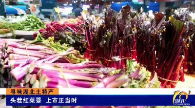寻味湖北土特产 | 头茬红菜薹 上市正当时