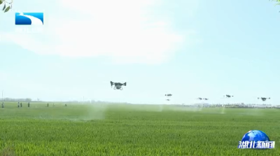 又丰收了！湖北粮食产量实现“十三连丰”