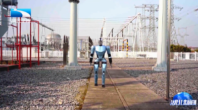 新质生产力在湖北 | “大壮”上岗了！特高压基地迎来新员工