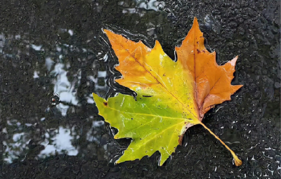 好消息：湖北高温将冲上19℃！坏消息：低温-5℃！