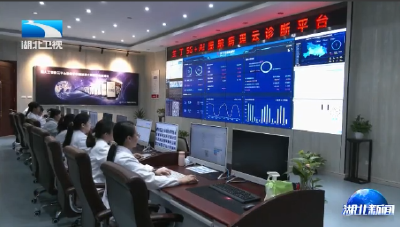 对话湖北科技企业家丨孙小蓉：用AI让癌症早期筛查触手可及