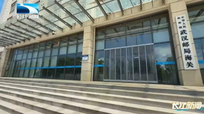 武汉海关实施税款担保电子化改革 B类快件实现“秒级放行”