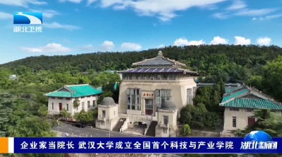 企业家当院长 武汉大学成立全国首个科技与产业学院