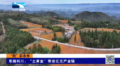 恩施利川：“土黄金”带出亿元产业链