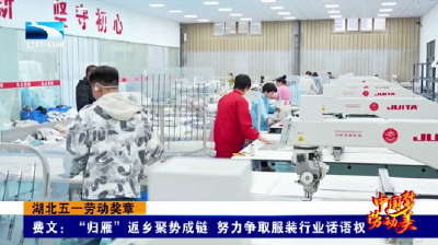 湖北“五一劳动奖章” | 费文：“归雁”返乡聚势成链 努力争取服装行业话语权