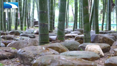 绿水青山的回响·这20年：石头“变形记”