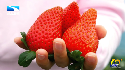 2025年12月24日湖北十分